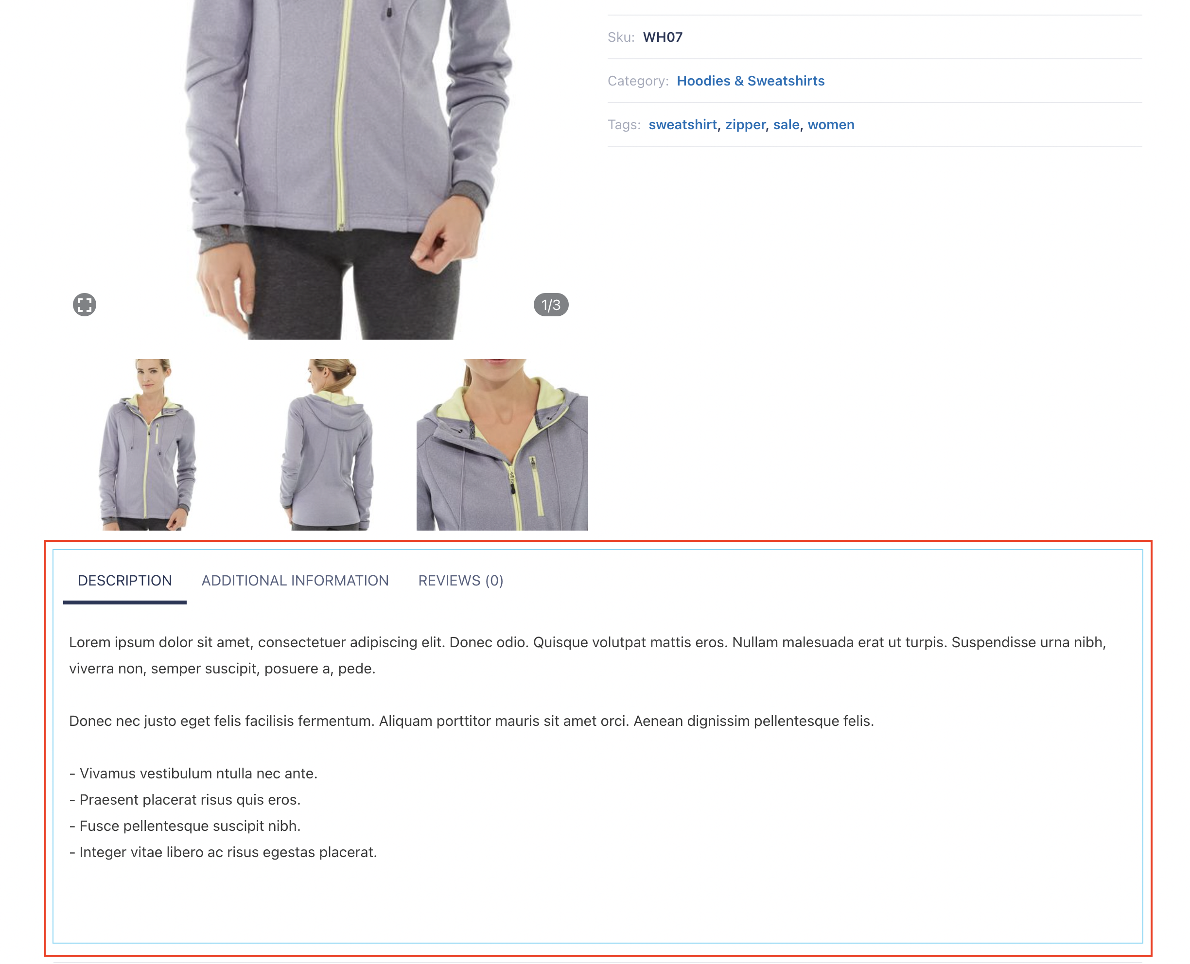 elementor-product-data-tabs-widget.png