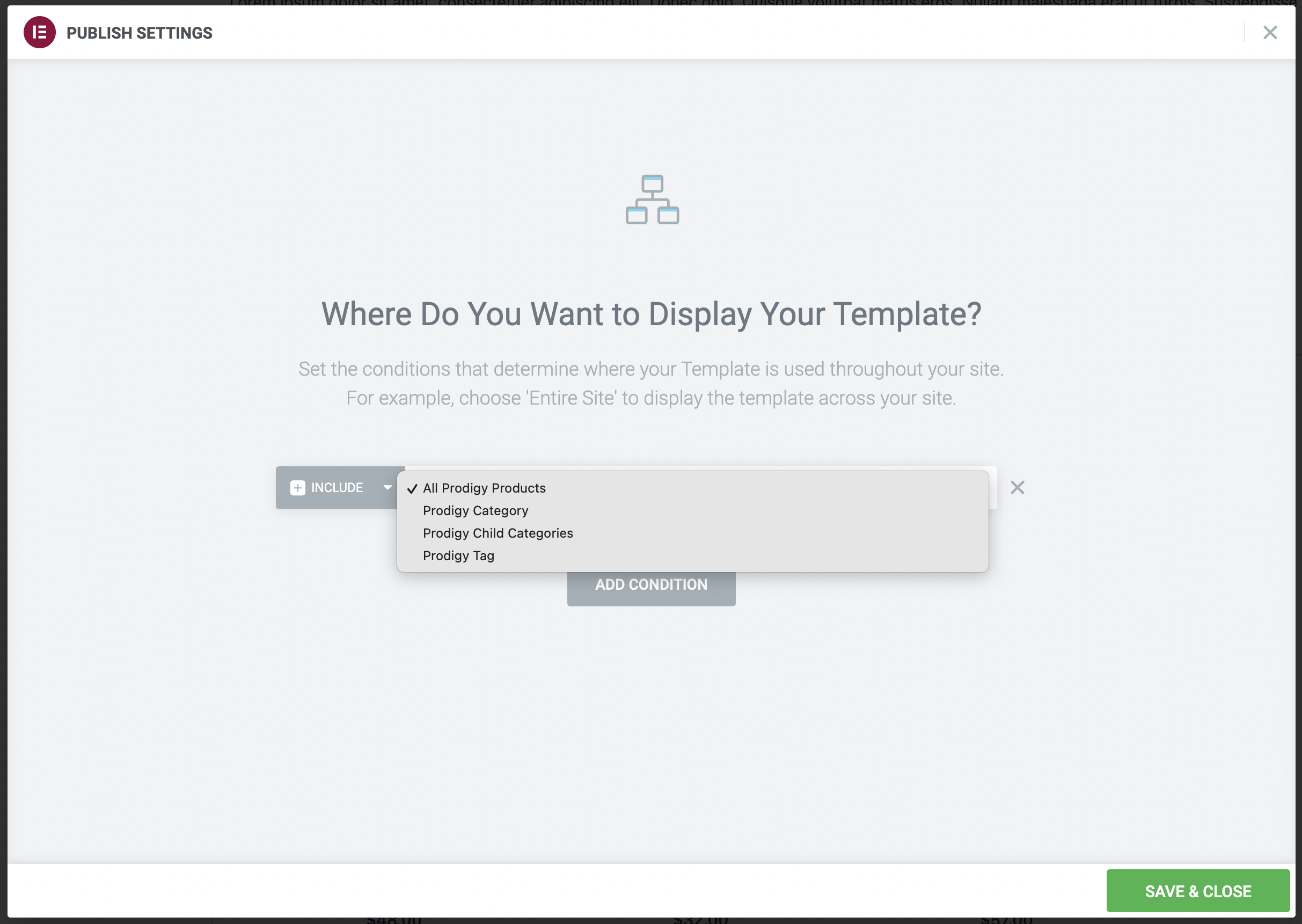 elementor-single-product-template-conditions.png